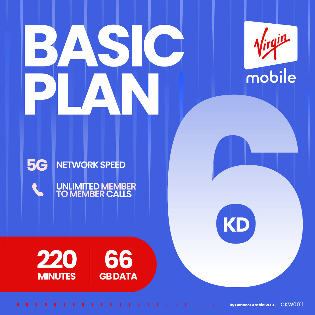 باقة بيسيك 6
